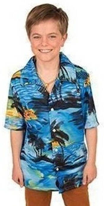 Faram Hawaii Blouse/overhemd Blauw Voor Jongens 128(8 Jaar) Carnavalsblouses